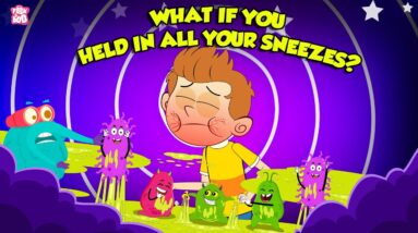 What If You Held in All Your Sneezes? | Is Sneezing Dangerous? | Why Do We Sneeze ? | Dr Binocs Show