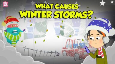 What Are Winter Storms? | How to Survive a Winter Storm? | What is a Blizzard? | Dr. Binocs Show