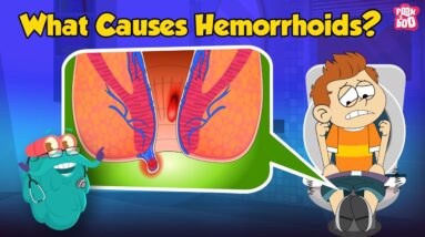 What Causes Hemorrhoids? | What are Piles? | Hemorrhoids: Symptoms and Prevention | Dr. Binocs Show