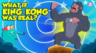 What if King Kong was Real? | Monkey King - The Eighth Wonder of the World | The Dr. Binocs Show