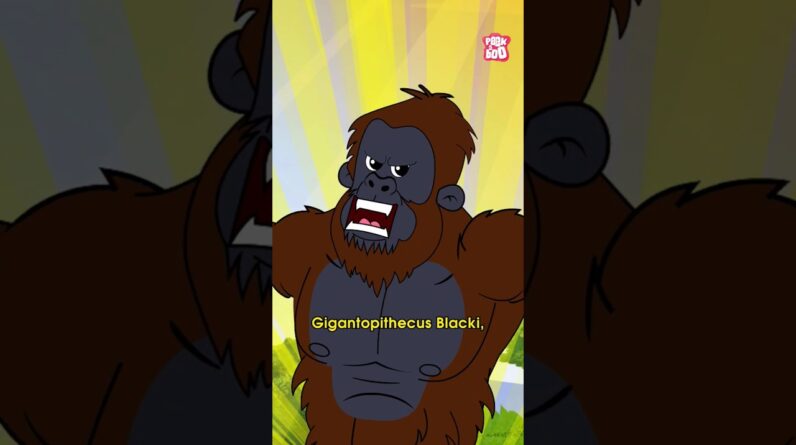 World's Greatest Ape - Gigantopithecus Ape #shorts #gigantopithecus #ape #legendaryanimals