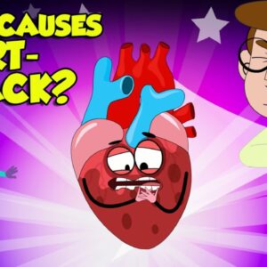 What Causes Heart Attack? | How to Keep Your Heart Healthy? | Heart Attack Signs and Symptoms