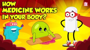 How Medicine Works in Human Body? | How Your Body Process Medicine? | The Dr. Binocs Show