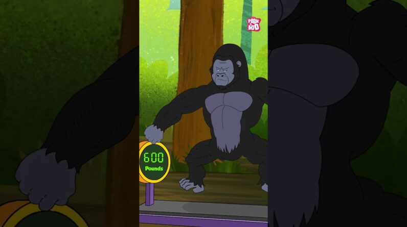 Gorilla - The Largest Living Ape | Daily Diet of Gorilla #shorts #gorilla #fooddiet #ape