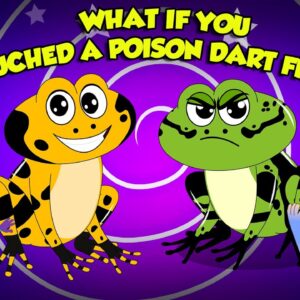 Deadliest Frog | What Happens if you Touch a Poisonous Dart Frog? | How to Survive | Dr. Binocs Show