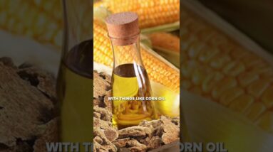 Seed oils vs butter: which is better?