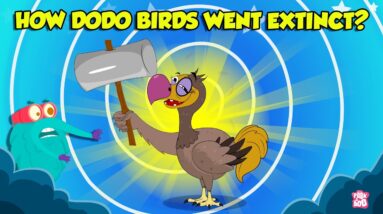 The Mysterious Extinction Of Dodo Birds | Story of Dodo Birds | Extinct Birds | The Dr. Binocs Show